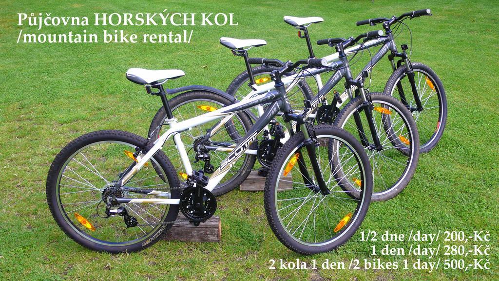 Penzion Fousek Zvíkovské Podhradí Extérieur photo